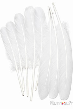 Schwan Seide - 25-30 cm - weiss-creme